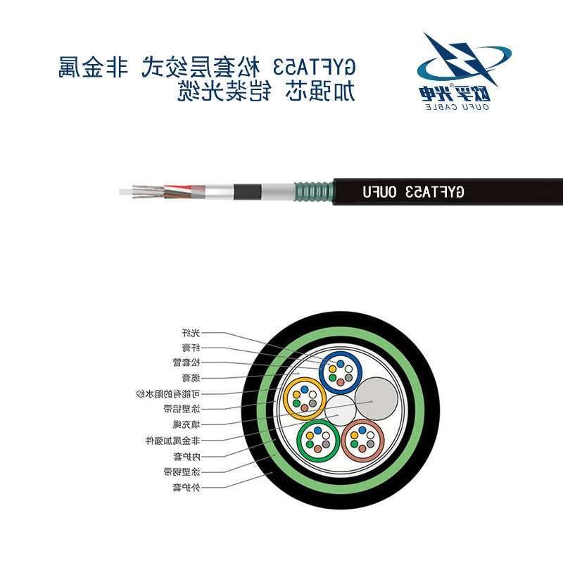 太原市GYFTA53光缆