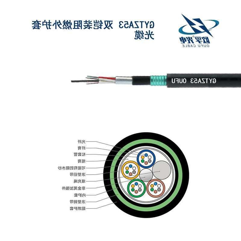 湾仔区GYTZA53光缆