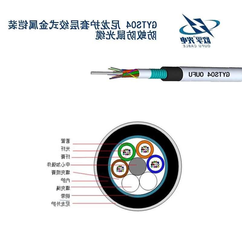 江津区GYTS04光缆